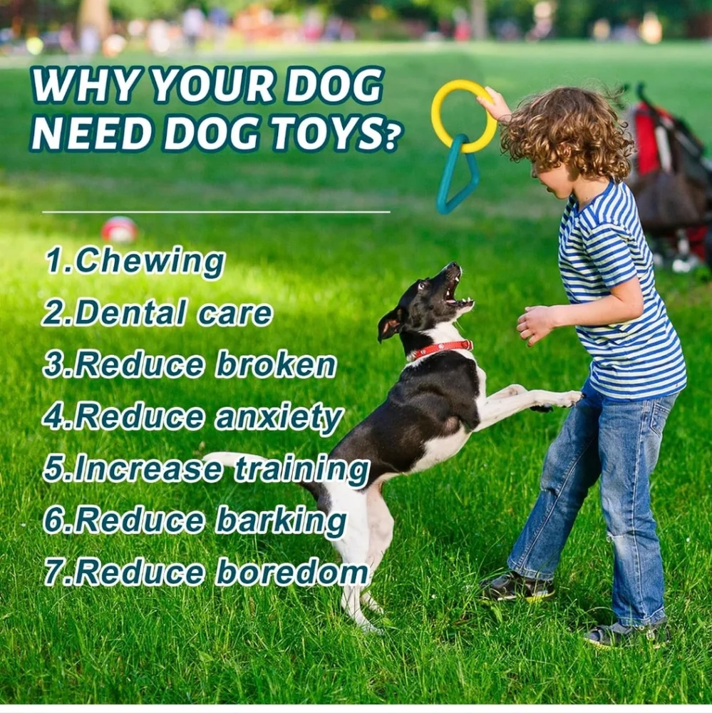 Interactive Dog Chew Toys - Rubber